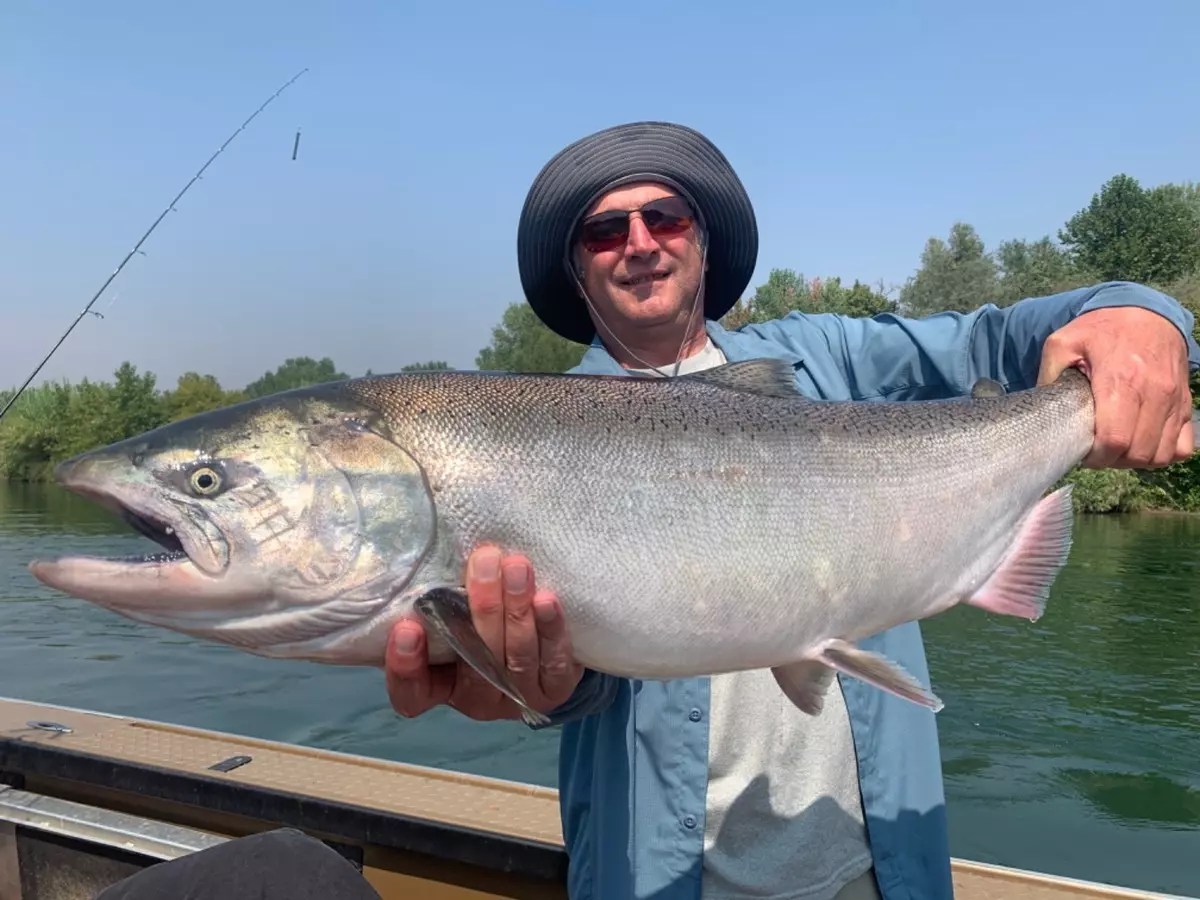 Sacramento River Fish Report Sacramento River Woodson Bridge Salmon