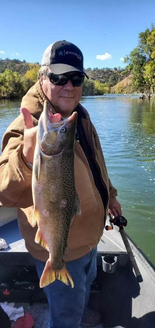 Klamath River Upper CA Fish Report Klamath River Upper CA