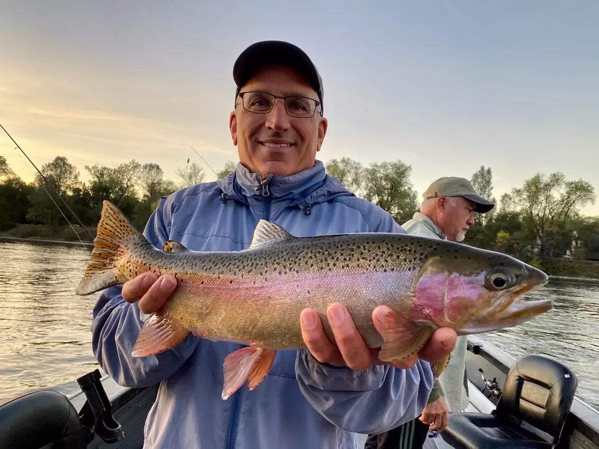 Fishing Sac steelhead/trout take center stage this week!