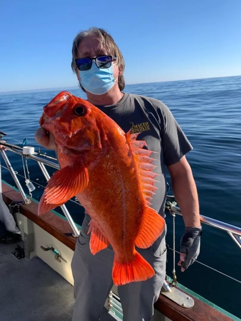 Lovely Martha Fish Report Lovely Martha Limits of Jumbo rockfish