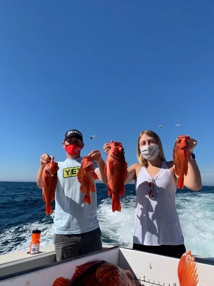 El Gato Dos Fish Report El Gato Dos Rockfish season is here