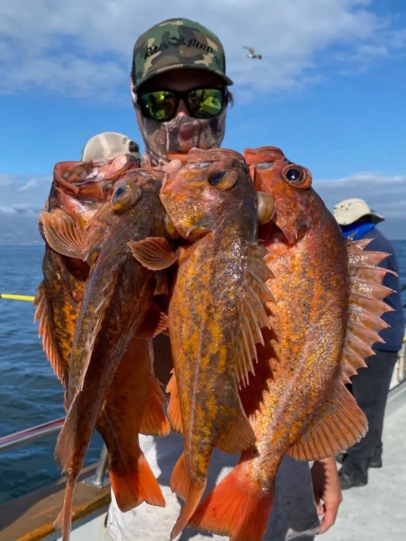 Coral Sea Great 1/2 day fishing