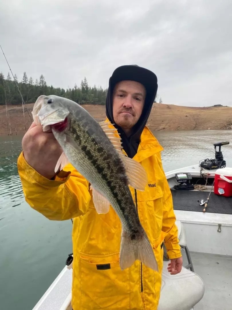 Shasta Lake Fish Report Shasta Lake Bass Fishing on Shasta lake