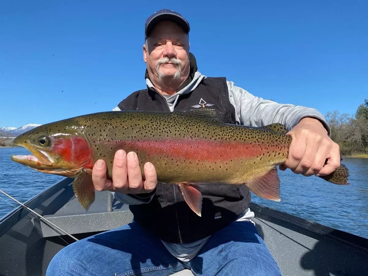 Fishing Wild rainbows are heavy this year!