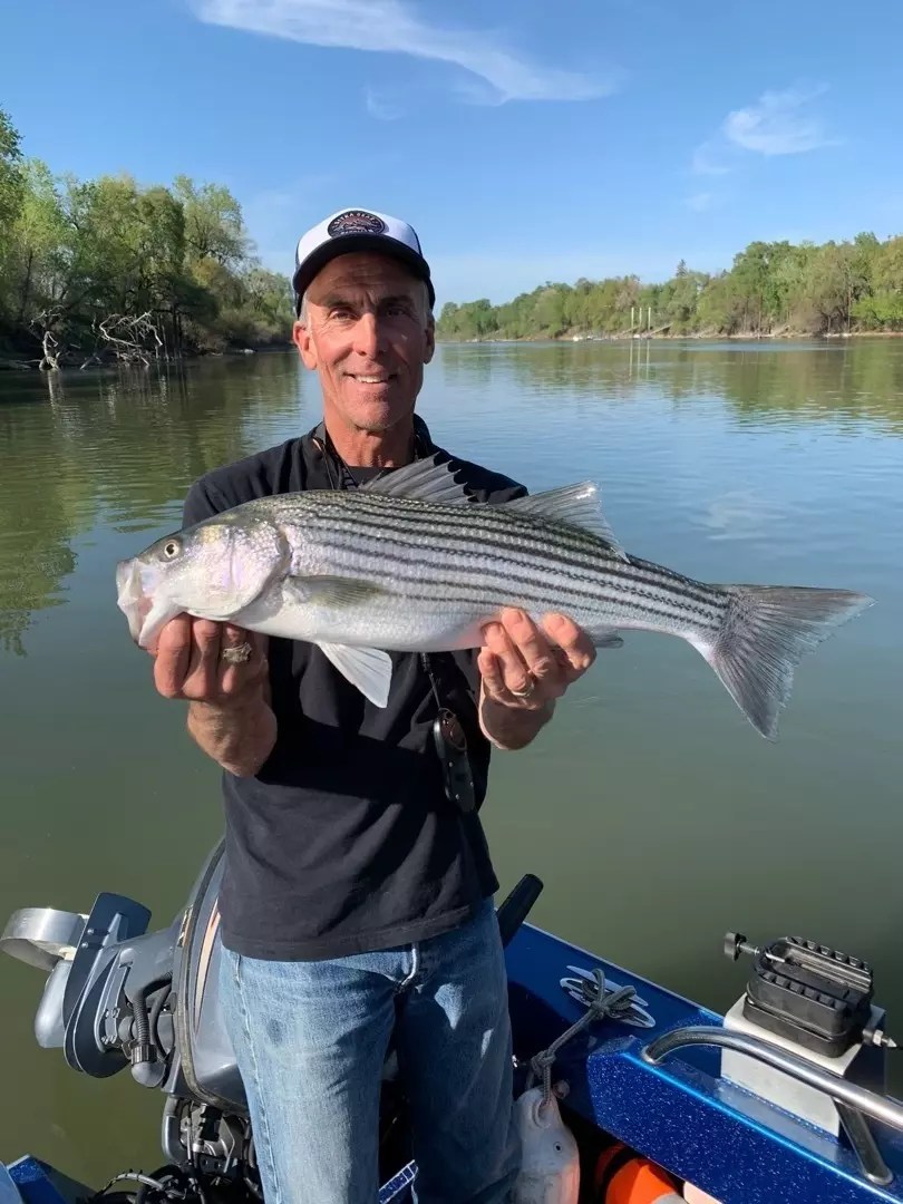 Fishing Striped Bass on the Sacramento River in Colusa