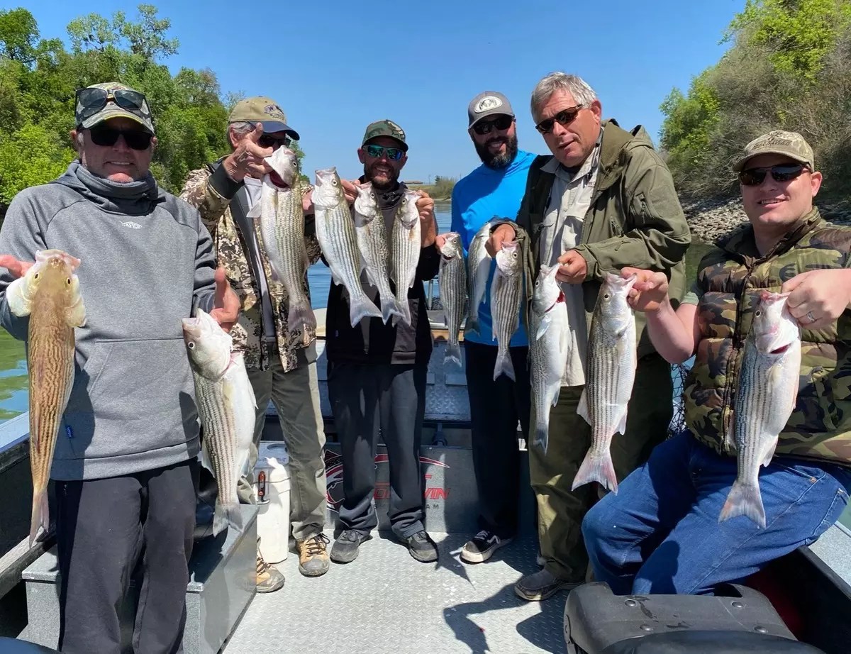 Sacramento River Lower Fish Report Sacramento River Lower Sac