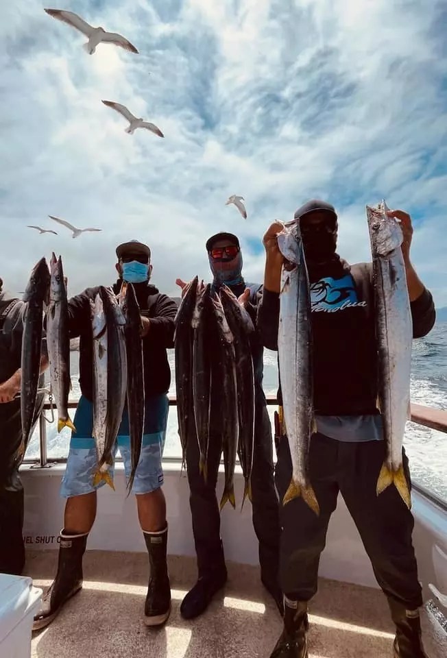 Fish Report Barracuda!