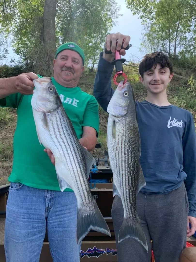 Sacramento River Fish Report Sacramento River Striped Bass on the