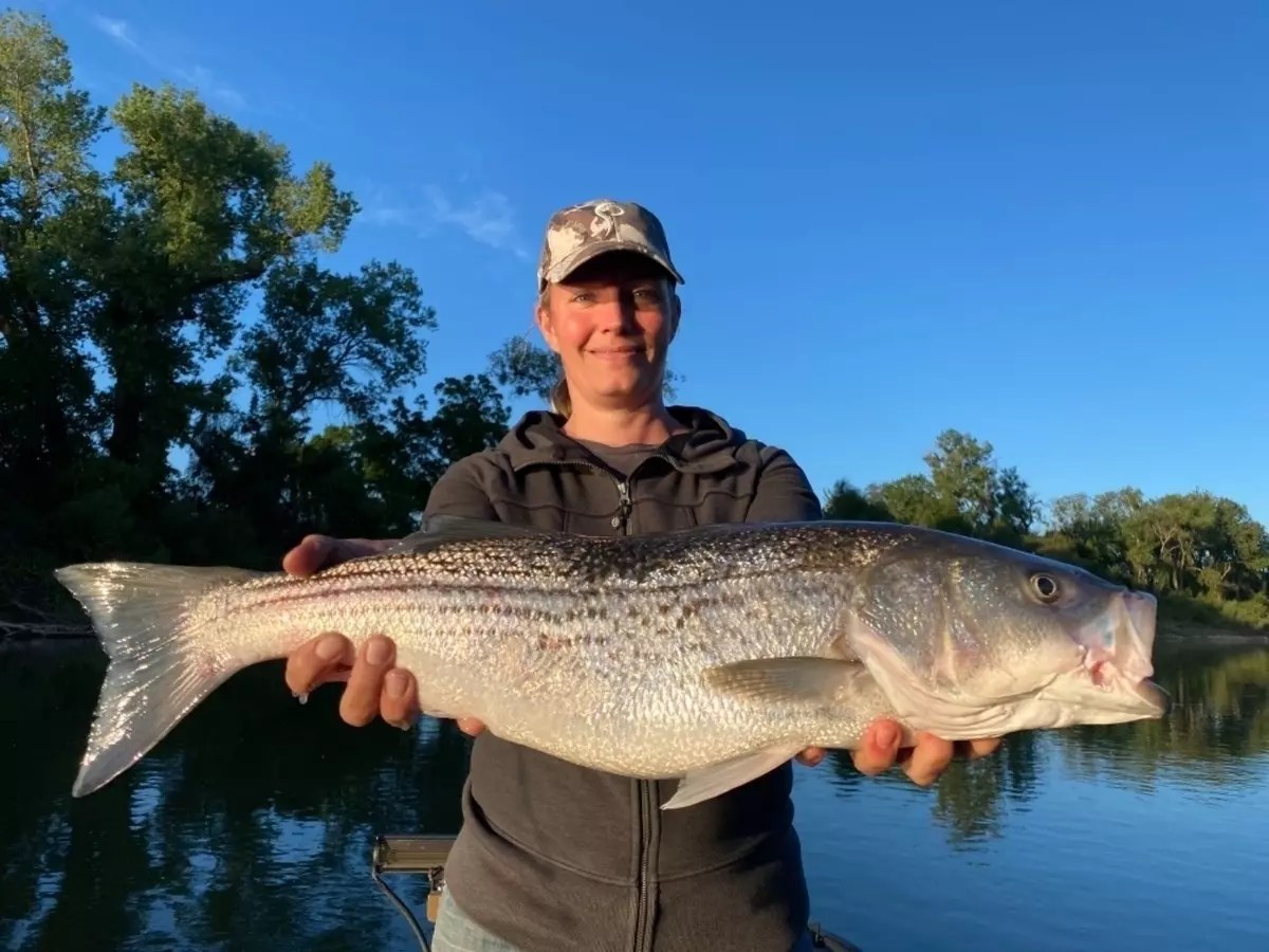 Fishing Striped Bass on the Sacramento River