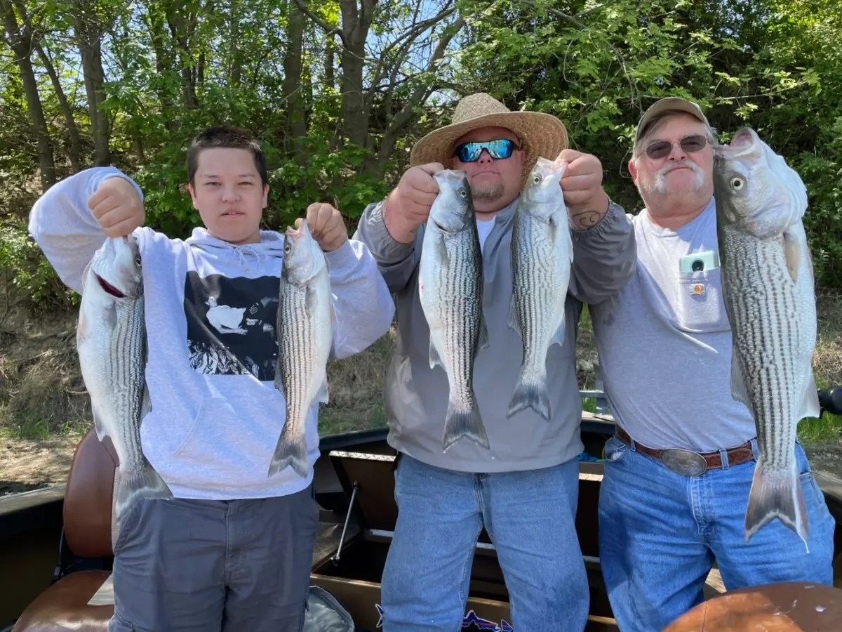 Fishing Striped Bass Sacramento River