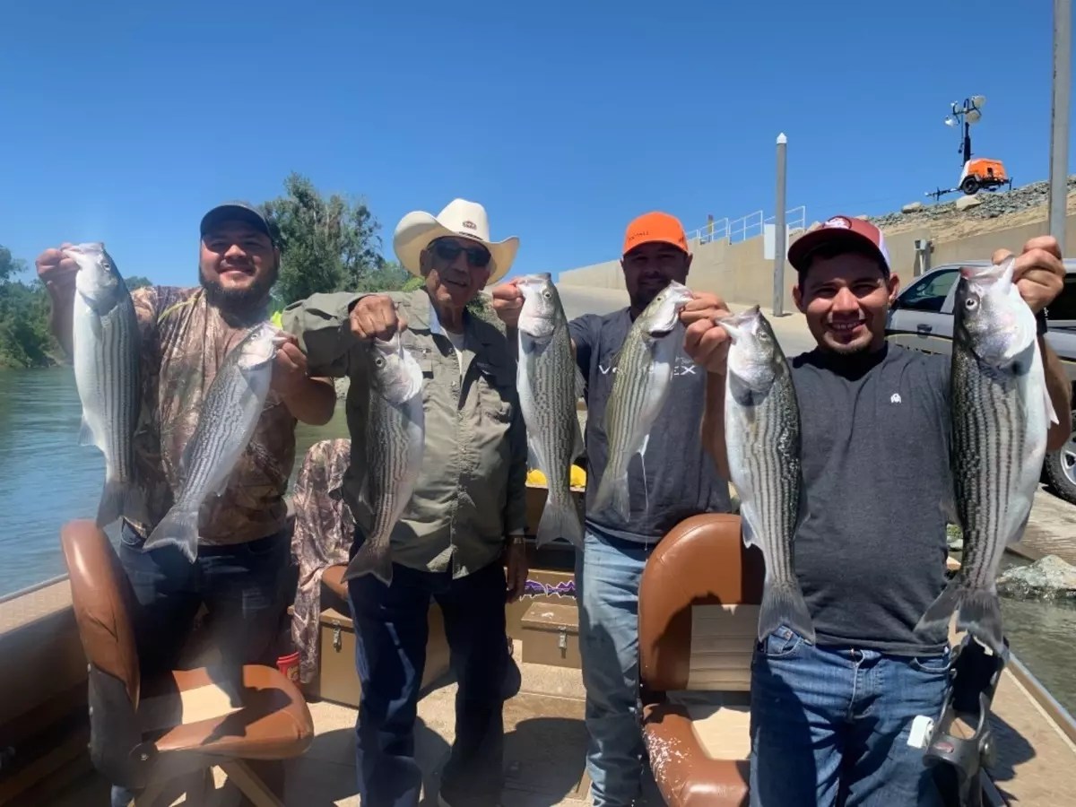 Fishing Striped Bass Fishing in Colusa California