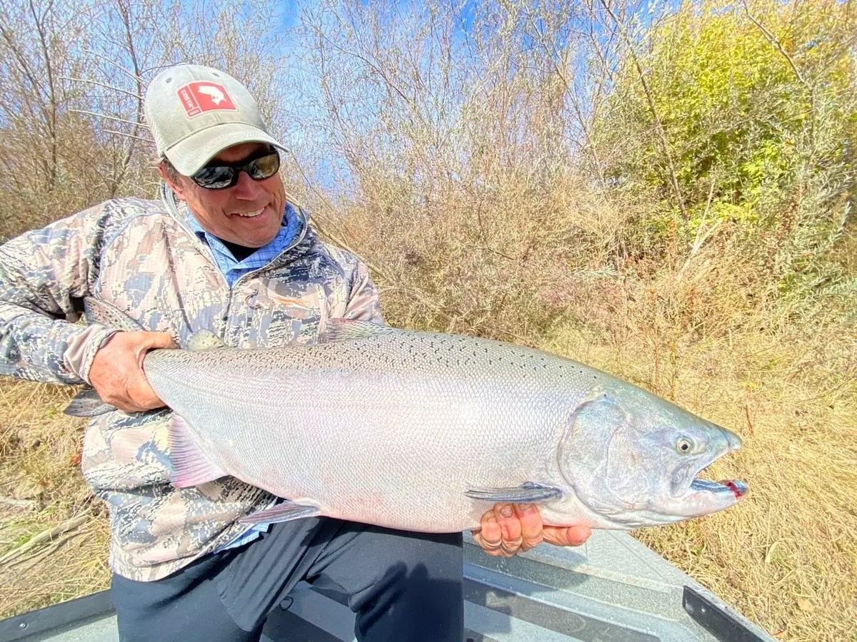 7+ American River Fishing Report For You