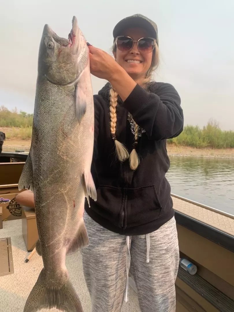 Sacramento River Fish Report Sacramento River Red Bluff King Salmon