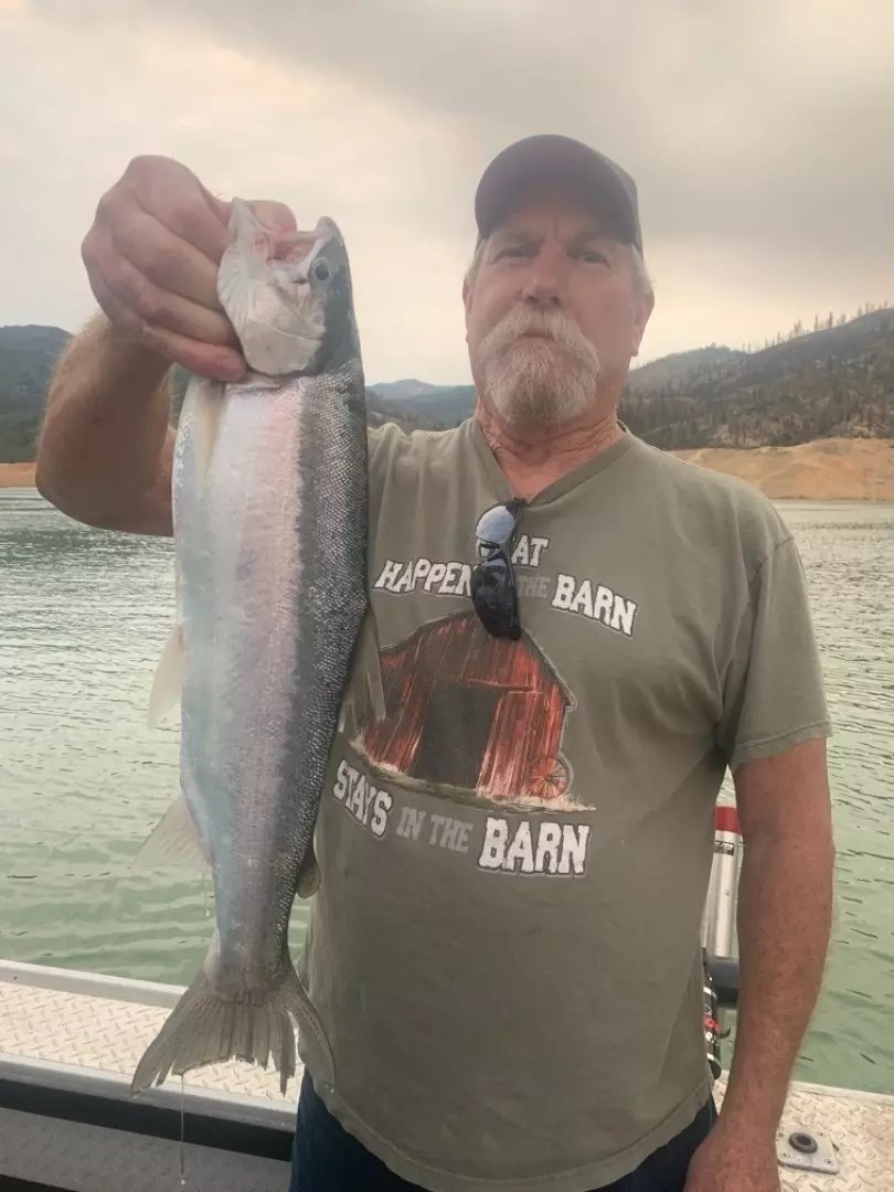 Shasta Lake Fish Report Shasta Lake Shasta Lake Trout Fishing