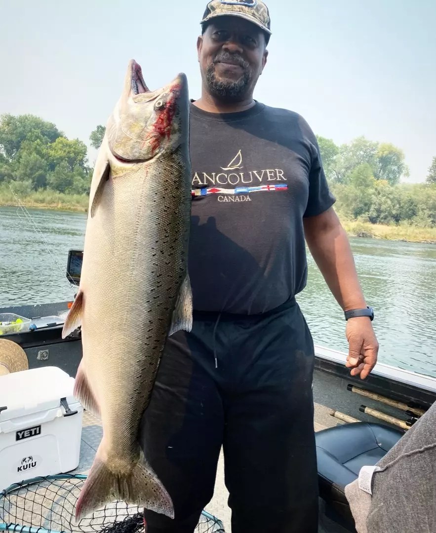 Fishing Sac salmon loading the upper river!