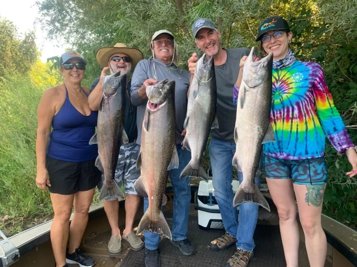 Sacramento River Fish Report Sacramento River King Salmon Fishing