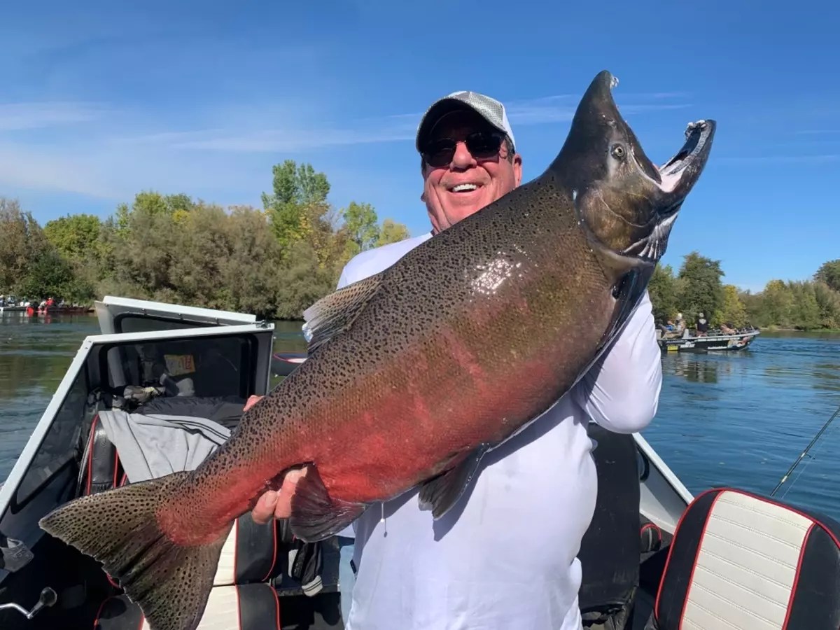 Sacramento River Fish Report Sacramento River Salmon Fishing