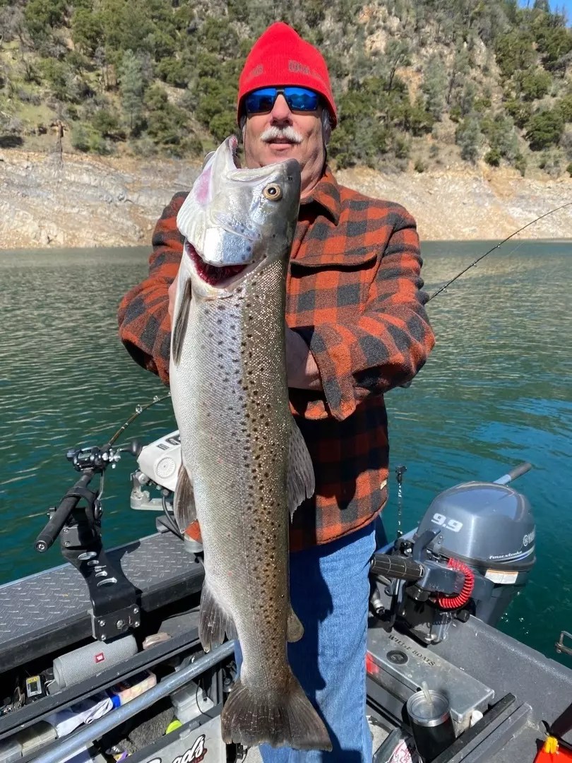 Shasta Lake Fish Report Shasta Lake Shasta Lake fall/winter trout