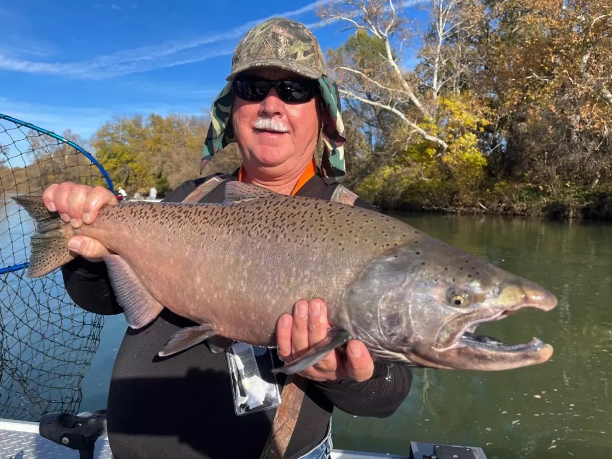 Sacramento River Fish Report Sacramento River Salmon Fishing on the