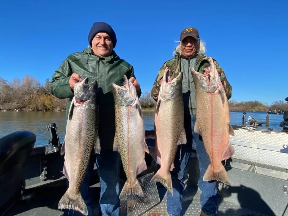 Sacramento River Lower Fish Report Sacramento River Lower