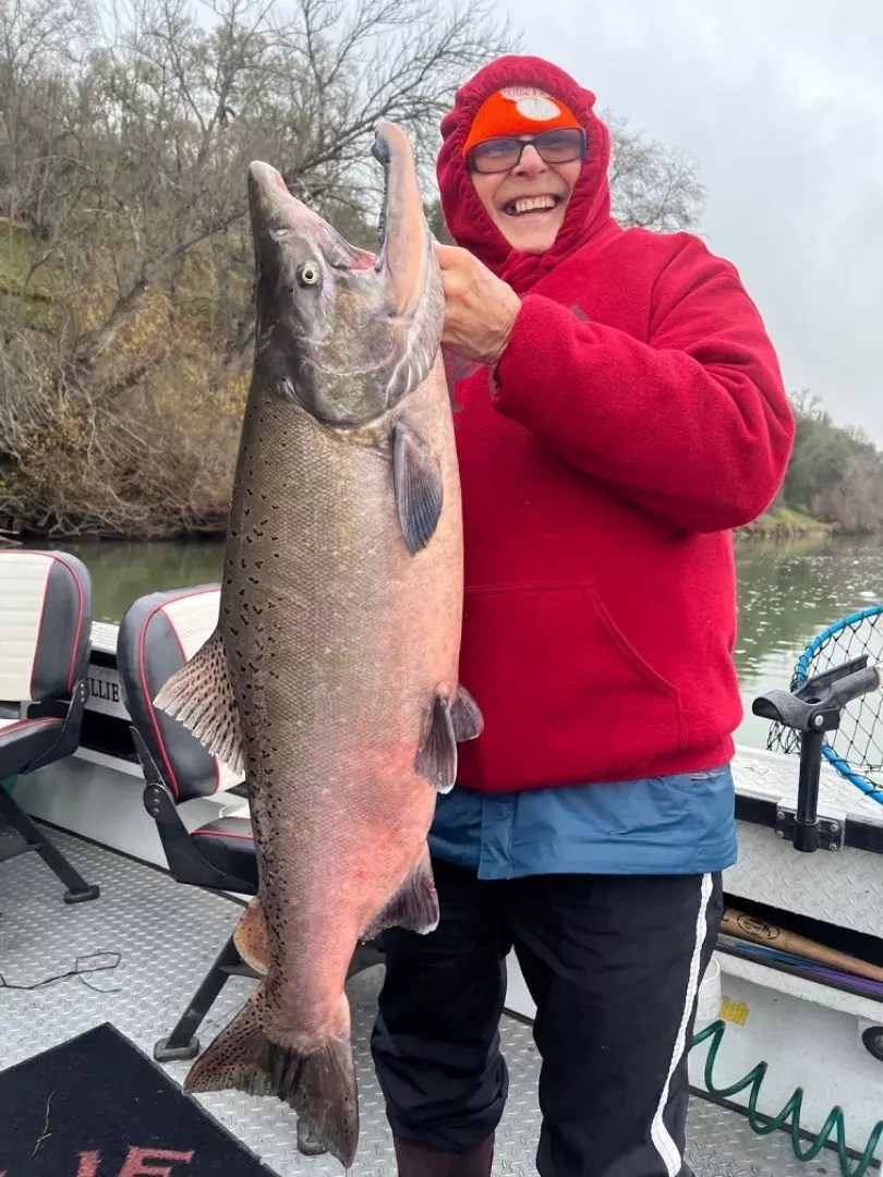 Sacramento River Fish Report Sacramento River Salmon Fishing in