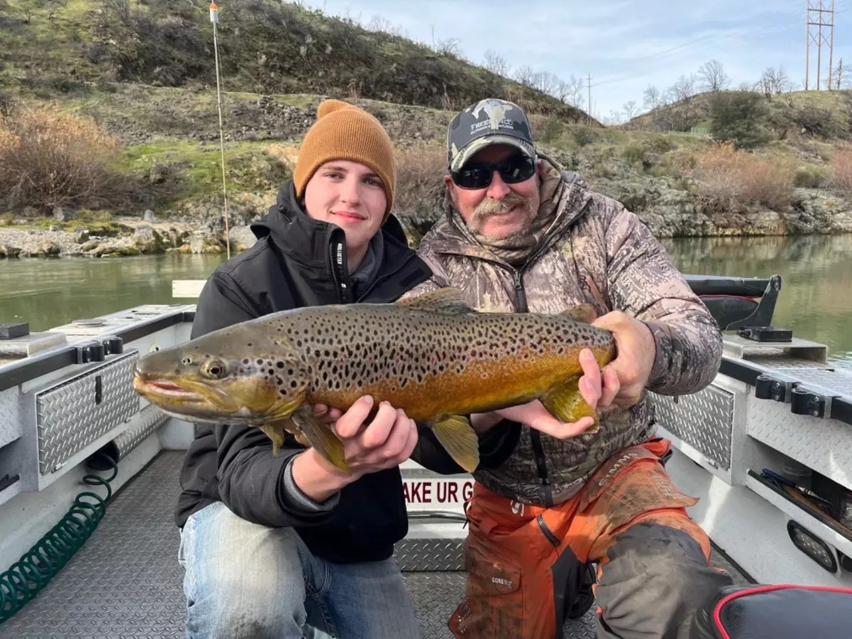 Sacramento River Fish Report Sacramento River Big Brown Trout on