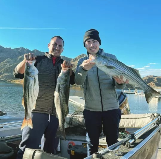 Colorado River Willow Beach Fish Report Willow Beach, NV