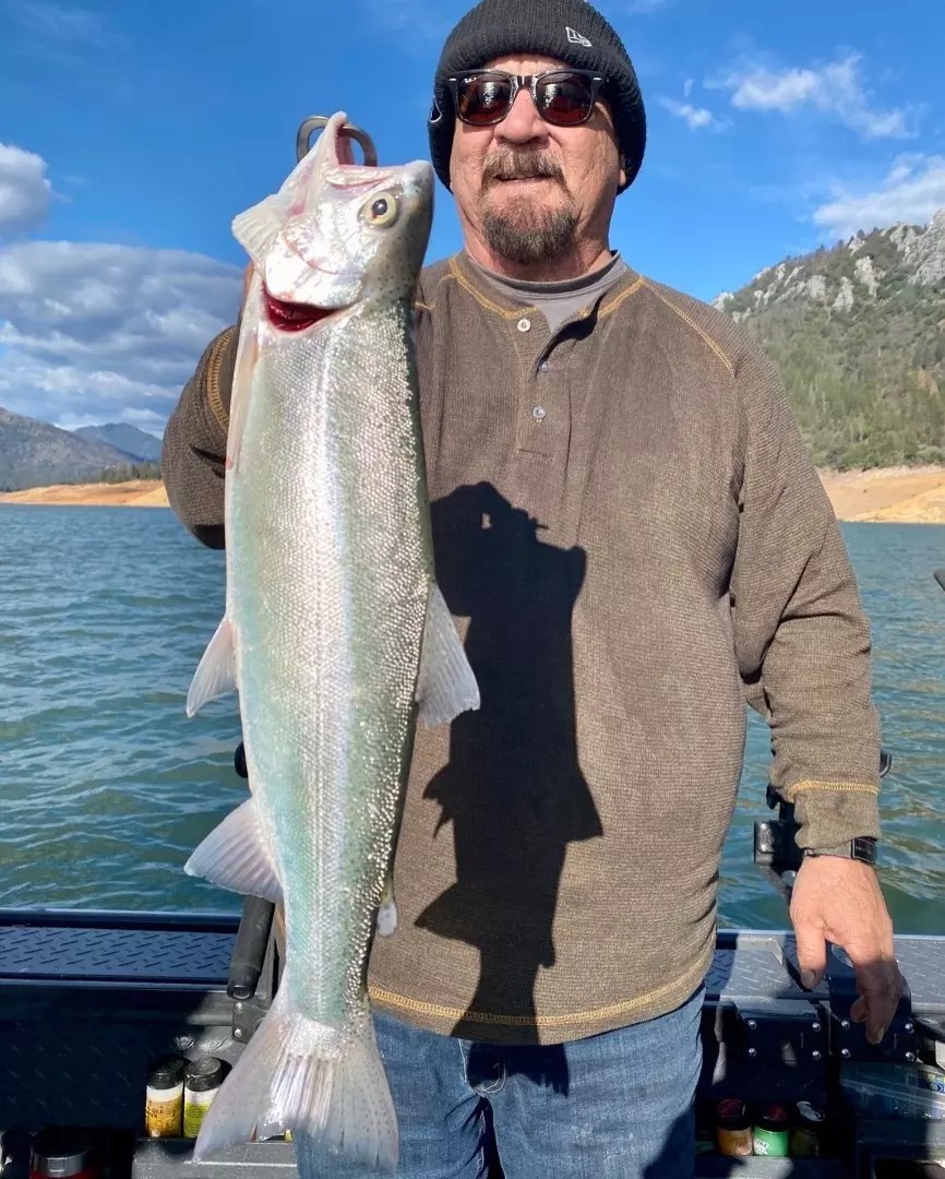 Shasta Lake Fish Report Shasta Lake Shasta Lake trout fishing