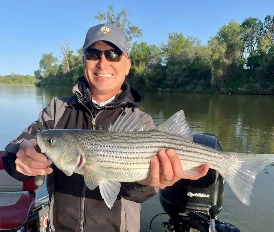Sacramento River Colusa Fish Report Sacramento River Colusa