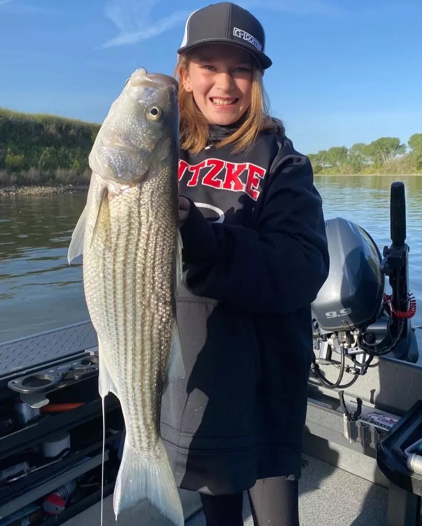 Sacramento River Lower Fish Report Sacramento River Lower Sac River Striper fishing