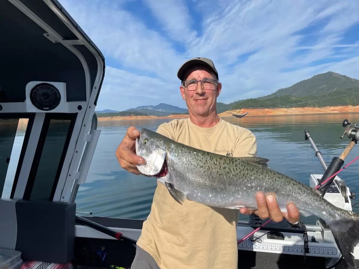 Shasta Lake Fish Report Shasta Lake 2022 KING SALMON ON SHASTA LAKE
