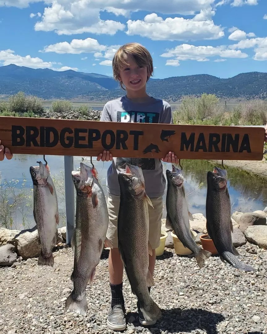 Bridgeport Reservoir Fish Report Bridgeport, CA (Mono County)