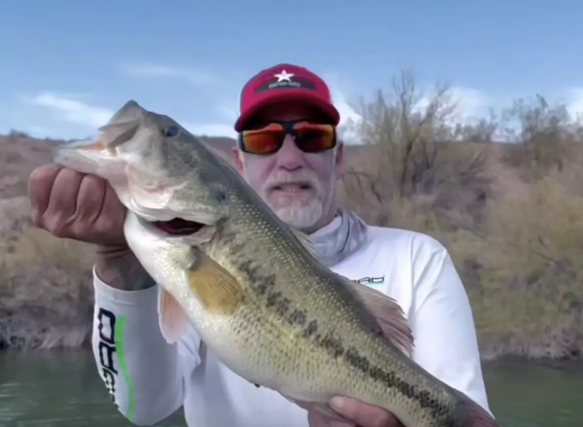 Lake Mohave Fish Report Cottonwood Cove, NV