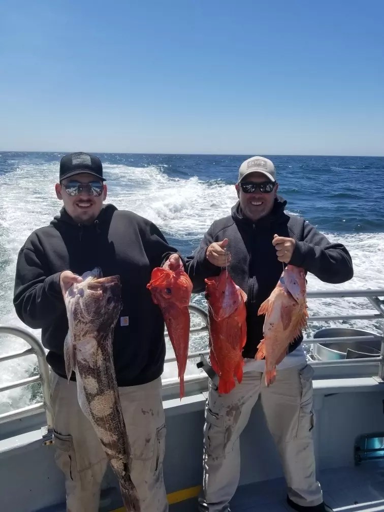 Humboldt Charter Company Nor Cal Fish Reports