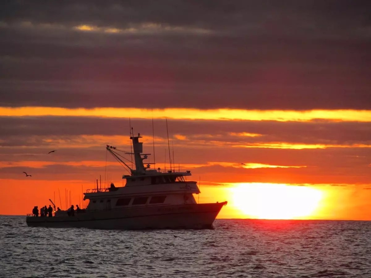 Saltwater Fish Reports Sportfishing Report