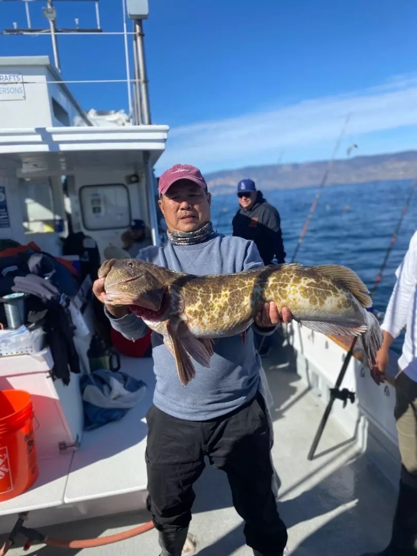 Coral Sea 3/4 day rockfish limits