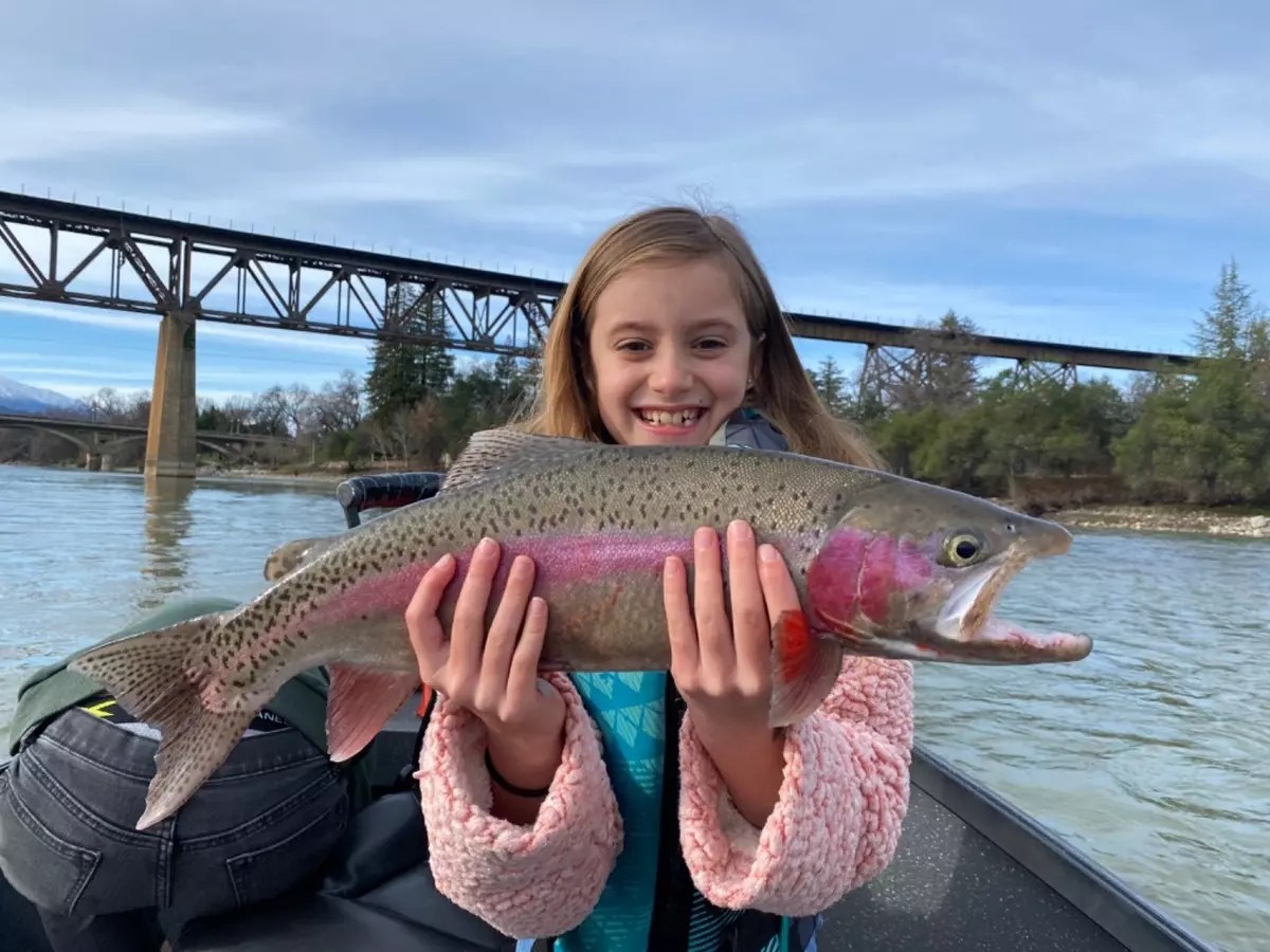 Sacramento River Lower Fish Report Sacramento River Lower