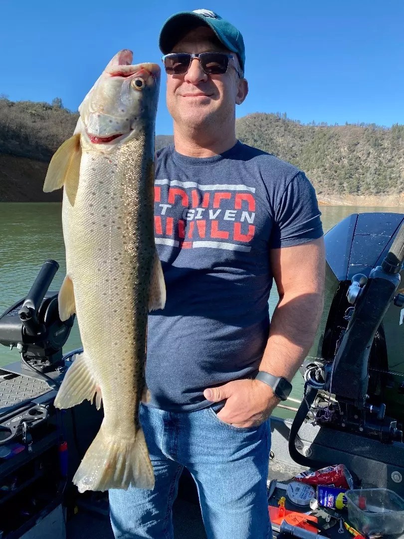 Shasta Lake Fish Report Shasta Lake Lake Shasta Trout Fishing