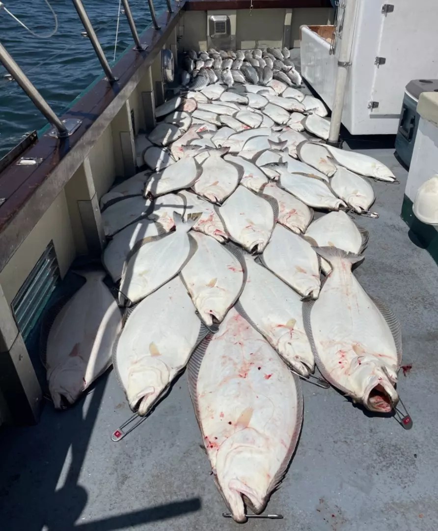 Lovely Martha Fish Report Lovely Martha EARLY LIMITS OF HALIBUT