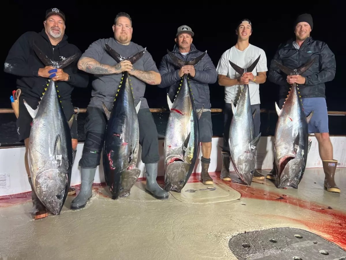 San Diego Fish Reports Seaforth Sportfishing