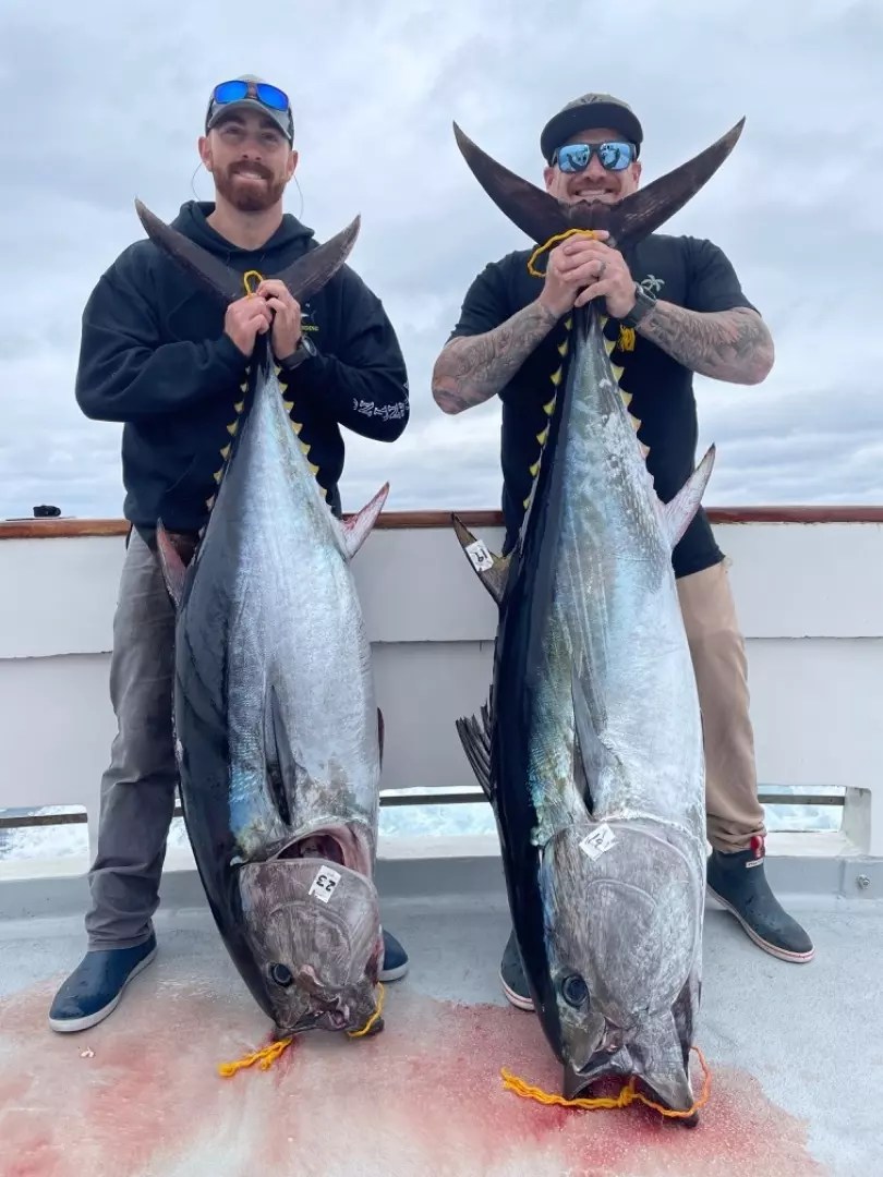 San Diego Fish Reports H&M Landing