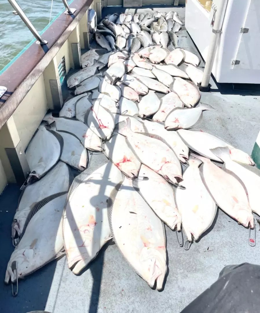 Lovely Martha Fish Report Lovely Martha LIMITS OF HALIBUT & BASS