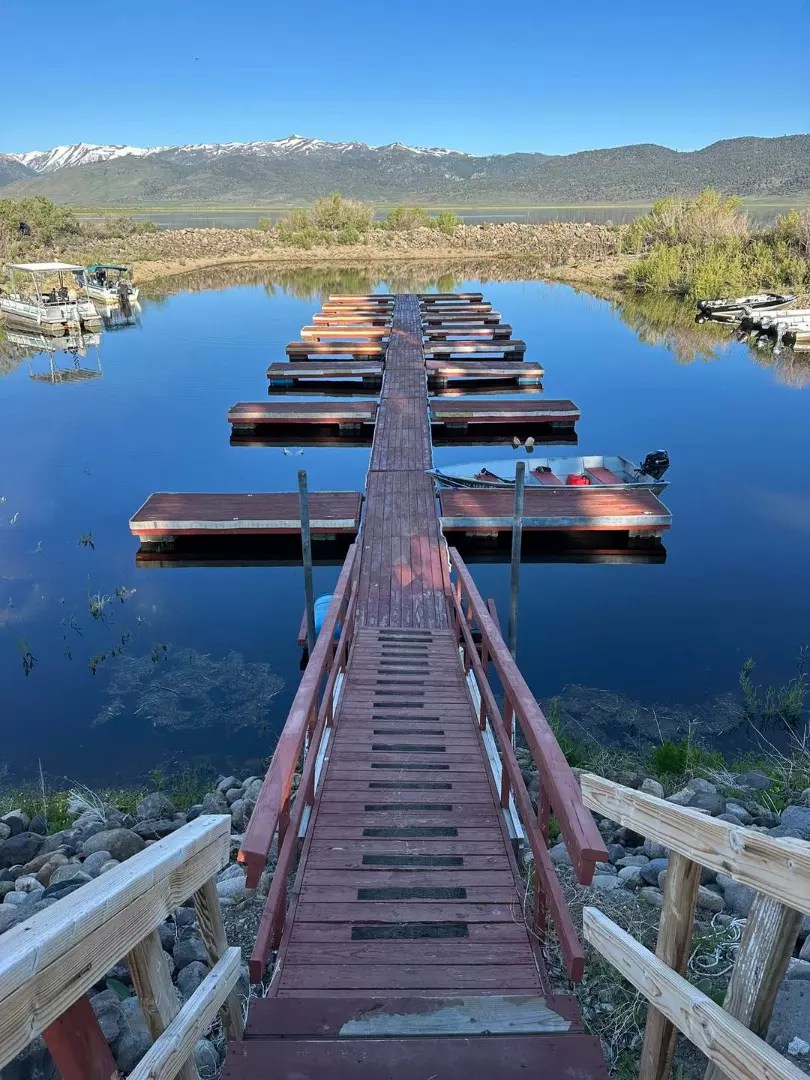 Bridgeport Reservoir Fish Report Bridgeport Reservoir 4.3 & 4.2 lbs