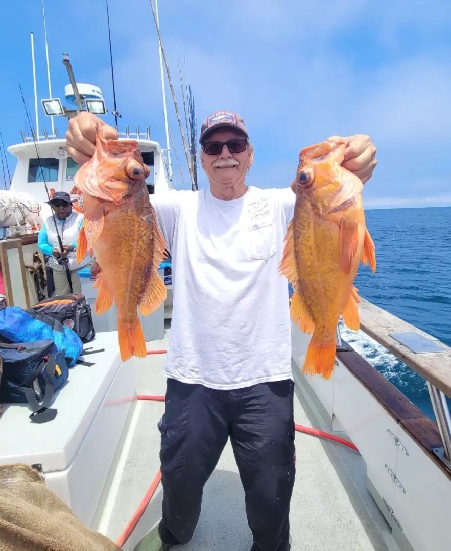 Fish Report Solid fishing at Santa Rosa Island