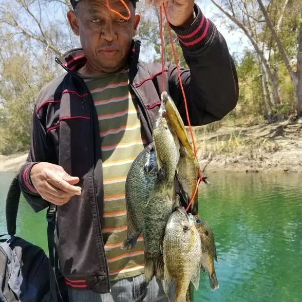 Lake Jennings Fish Report Lake Jennings Lake Jennings Weekly Report