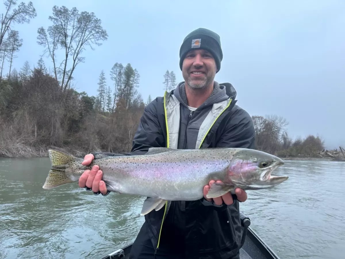 Trinity River Fish Report Trinity River Trinity River steelhead