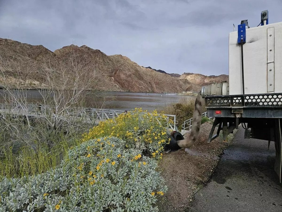 Colorado River Willow Beach Fish Report Willow Beach, NV