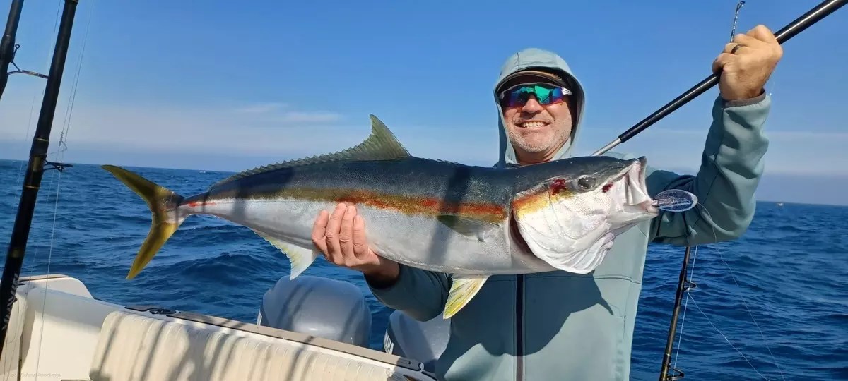 No Patience Fish Report No Patience Island Action October 26, 2024