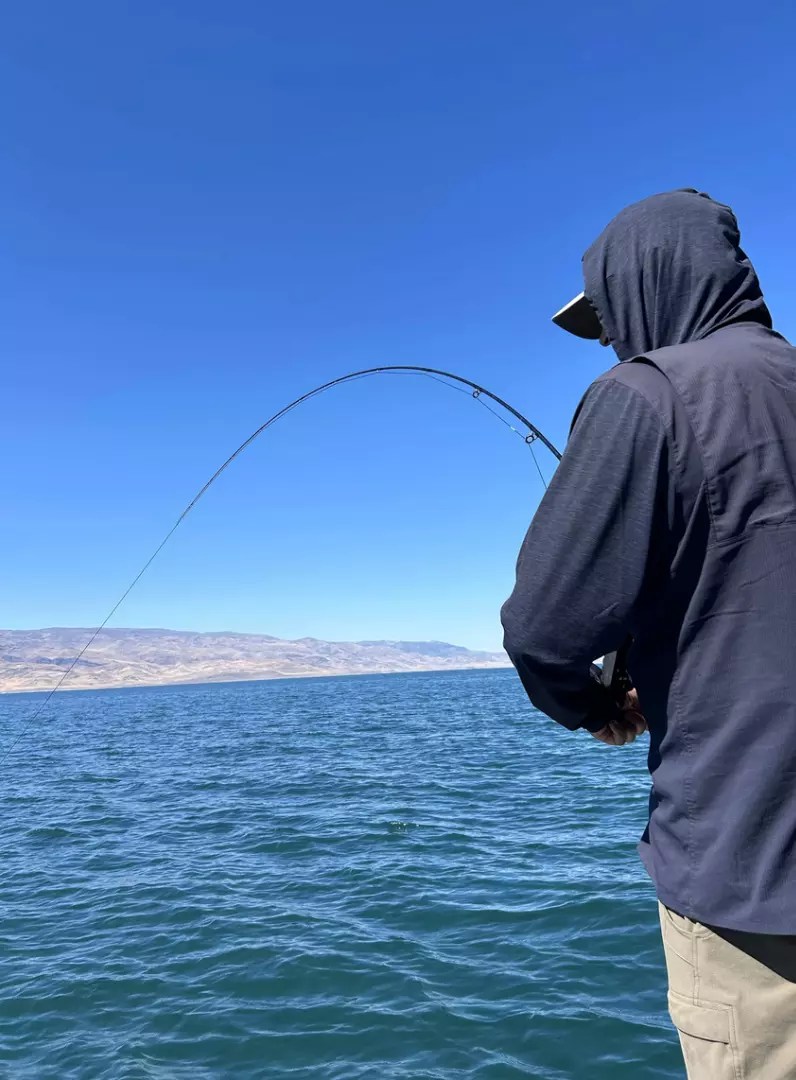 Pyramid Lake Fish Report Sutcliffe, NV (Washoe County)