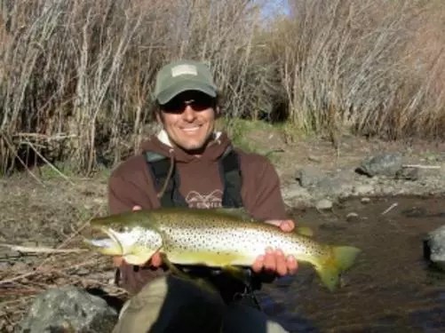 Walker River East Fork (CA) Fish Report Bridgeport, CA (Mono County)
